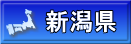 新潟県